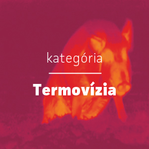 Termovízia